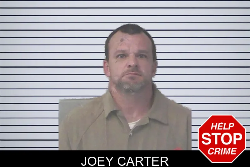 Joey Carter mugshot