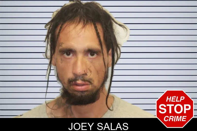 Joey Salas mugshot