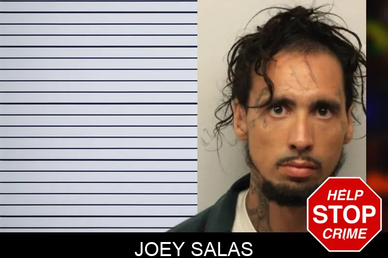 Joey Salas mugshot