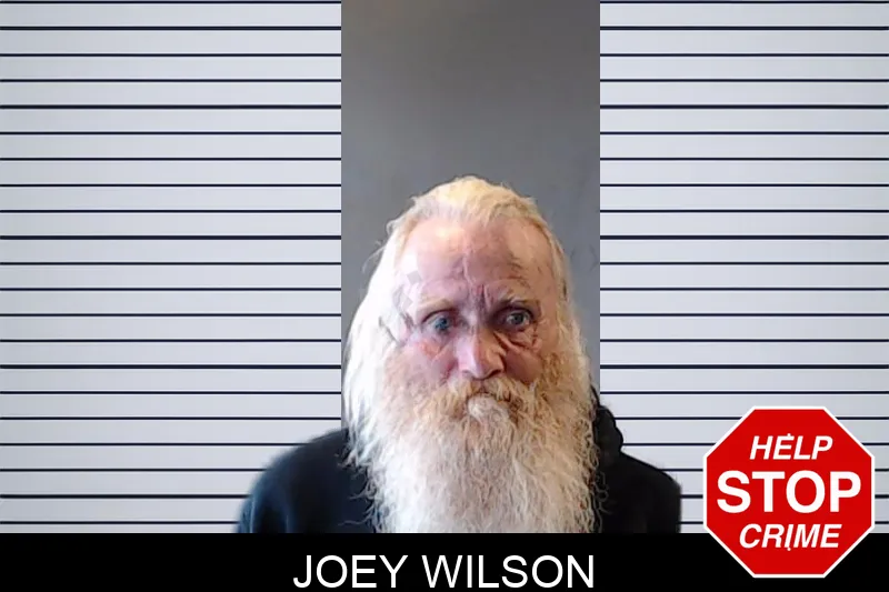 Joey Wilson mugshot