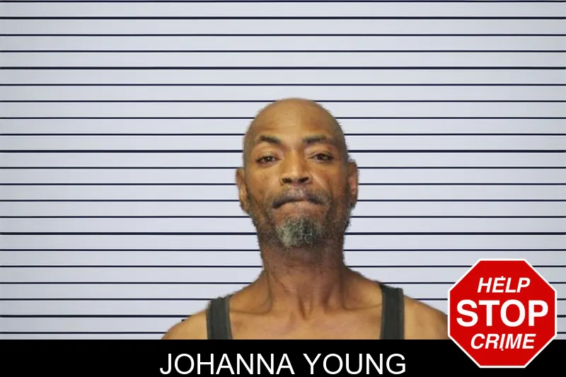 Johanna Young mugshot