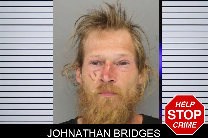 Johnathan Bridges mugshot