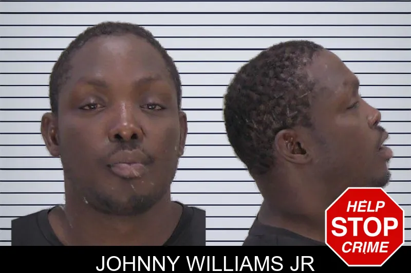 Johnny Williams Jr mugshot