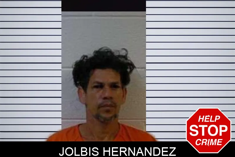 Jolbis Hernandez mugshot