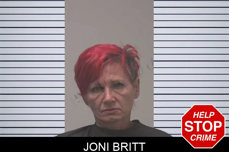 Joni Britt mugshot