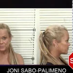 Joni Sabo-Palimeno mugshot