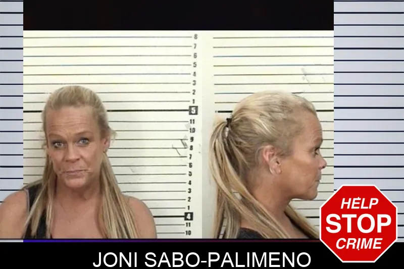 Joni Sabo-Palimeno mugshot