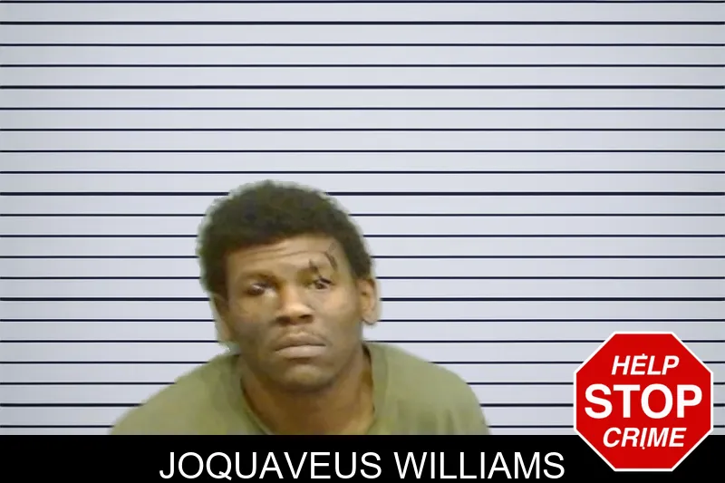 Joquaveus Williams mugshot
