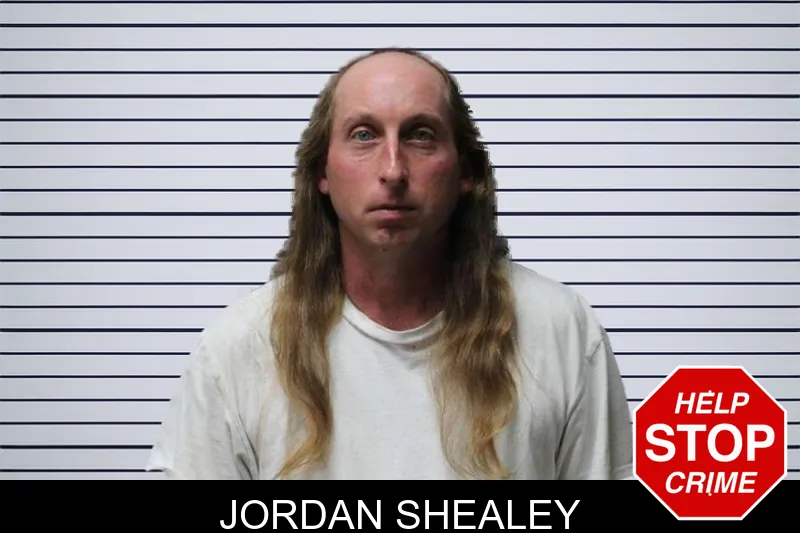 Jordan Shealey mugshot