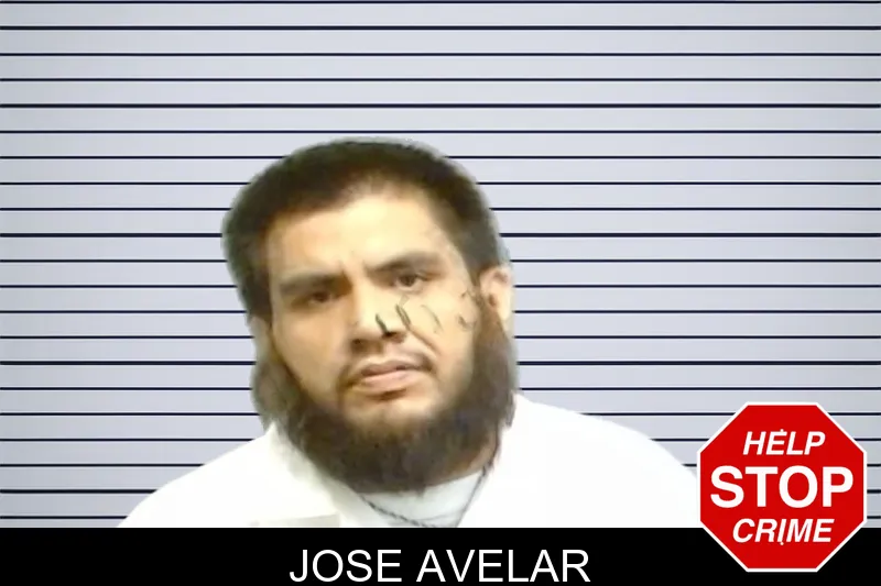 Jose Avelar mugshot