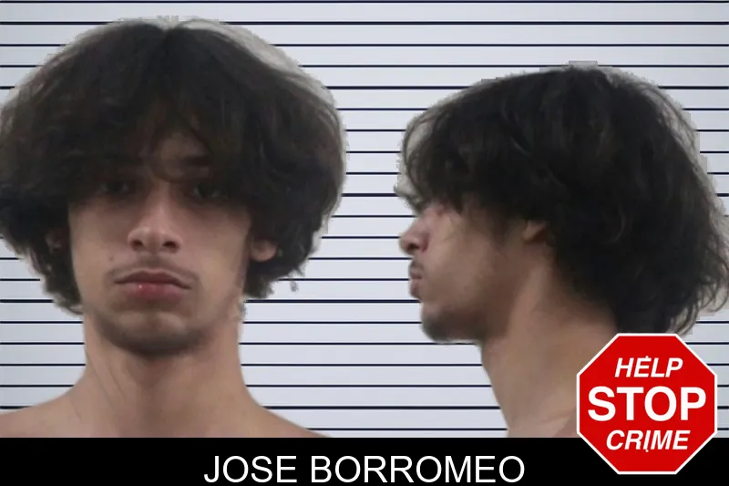 Jose Borromeo mugshot