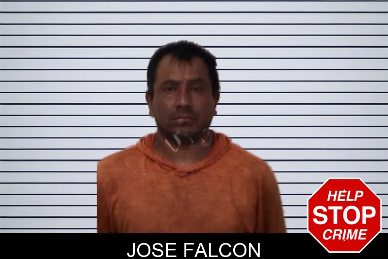Jose Falcon mugshot
