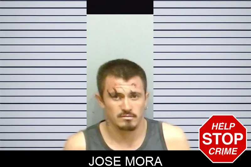 Jose Mora mugshot