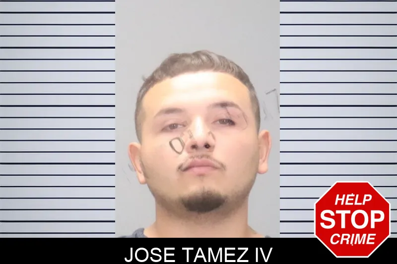 Jose Tamez IV mugshot