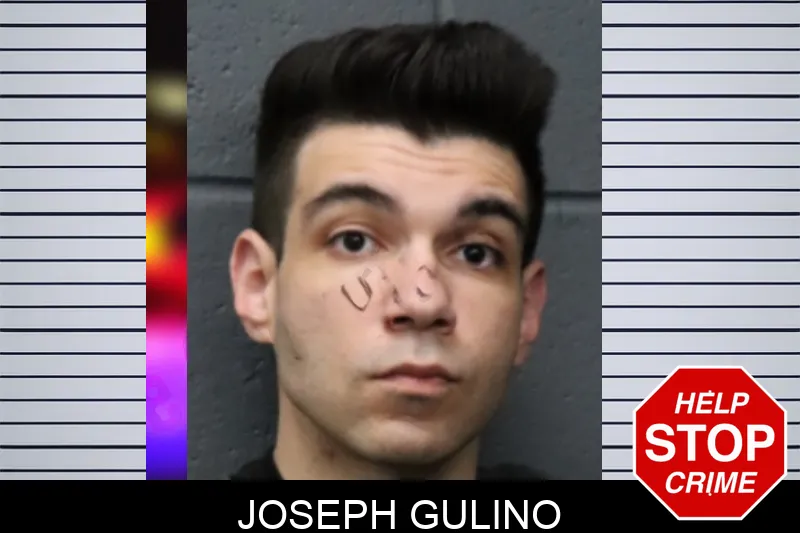 Joseph Gulino mugshot