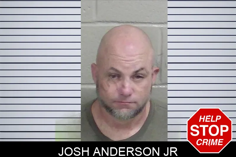 Josh Anderson Jr mugshot