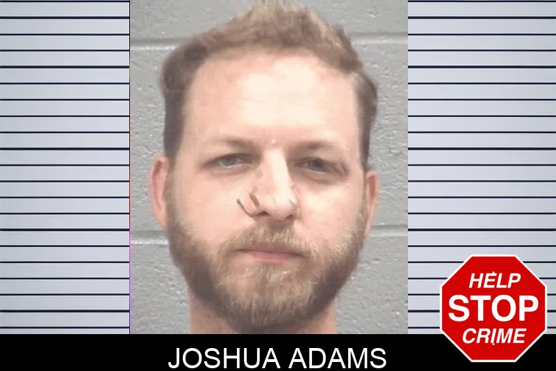 Joshua Adams mugshot