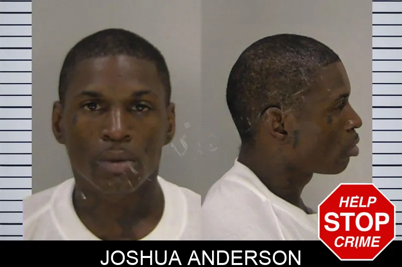 Joshua Anderson mugshot