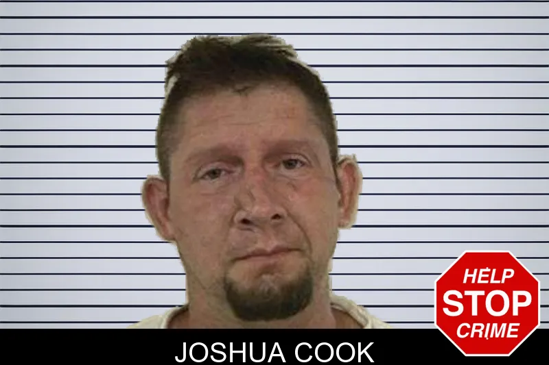 Joshua Cook mugshot