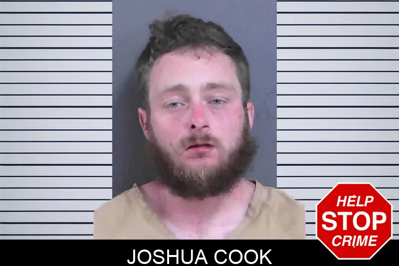 Joshua Cook mugshot