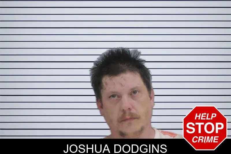 Joshua Dodgins mugshot