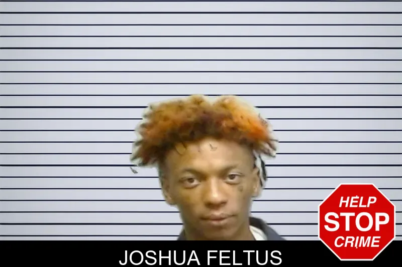 Joshua Feltus mugshot