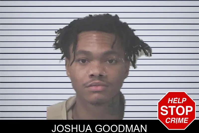 Joshua Goodman mugshot
