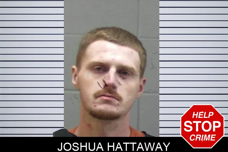 Joshua Hattaway mugshot