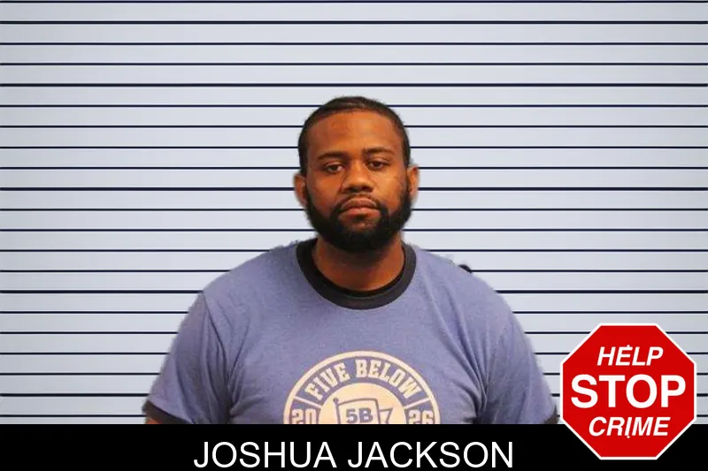 Joshua Jackson mugshot