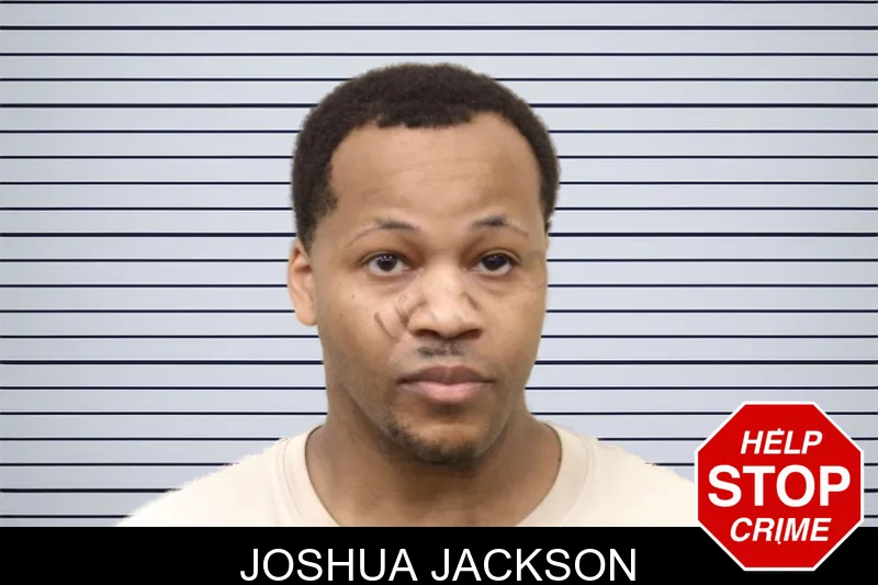 Joshua Jackson mugshot