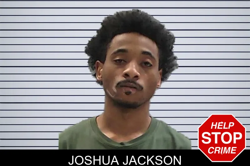 Joshua Jackson mugshot