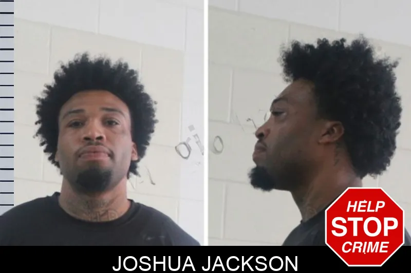 Joshua Jackson mugshot
