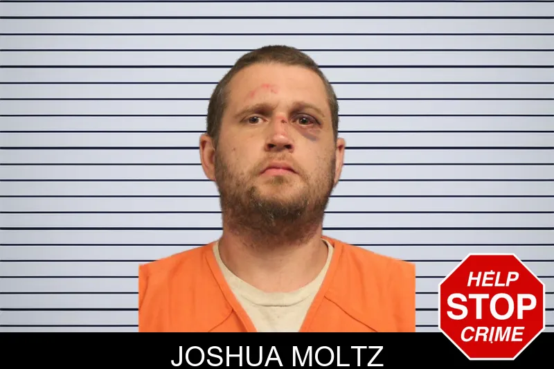Joshua Moltz mugshot