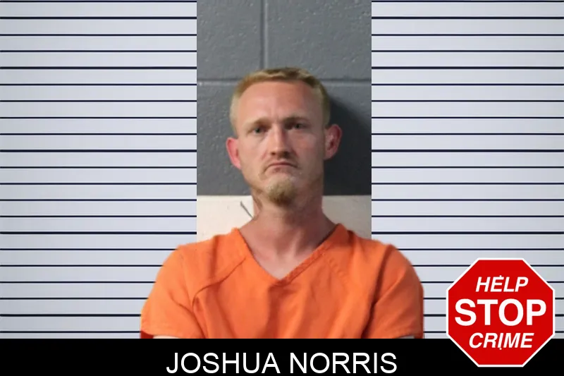Joshua Norris mugshot