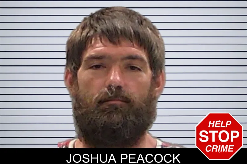 Joshua Peacock mugshot
