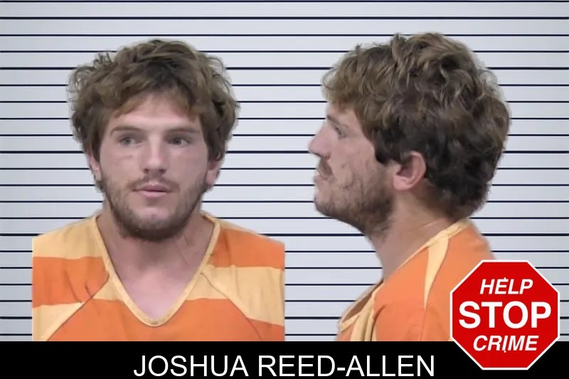 Joshua Reed-Allen mugshot