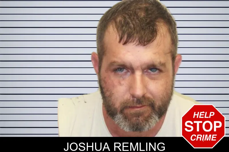 Joshua Remling mugshot