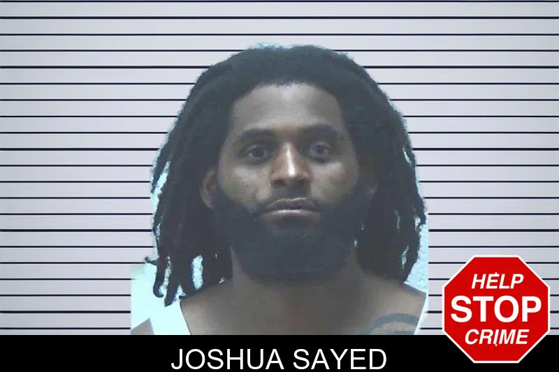Joshua Sayed mugshot