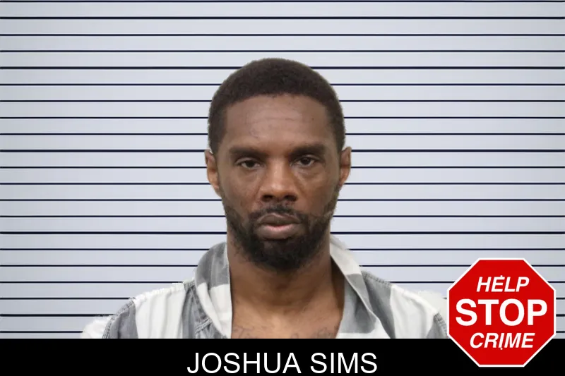 Joshua Sims mugshot