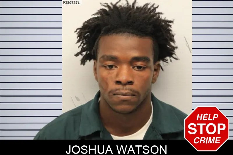 Joshua Watson mugshot