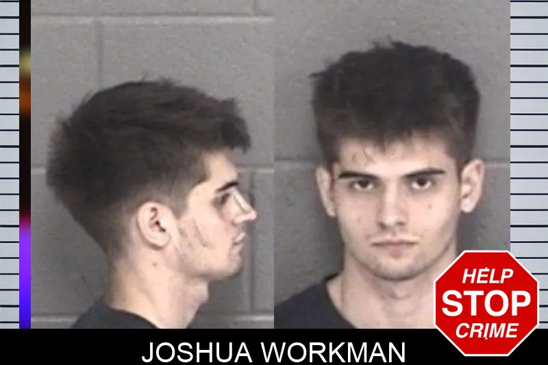 Joshua Workman mugshot