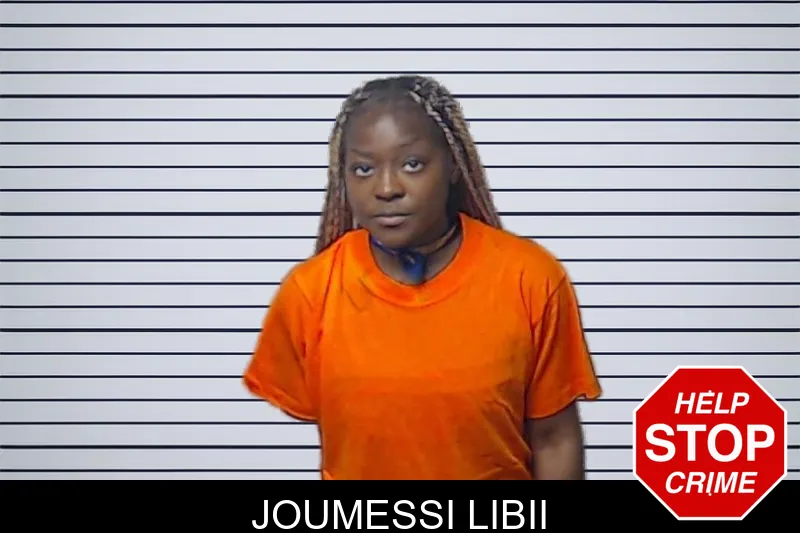 Joumessi Libii mugshot
