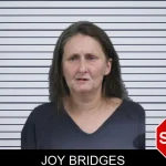 Joy Bridges mugshot
