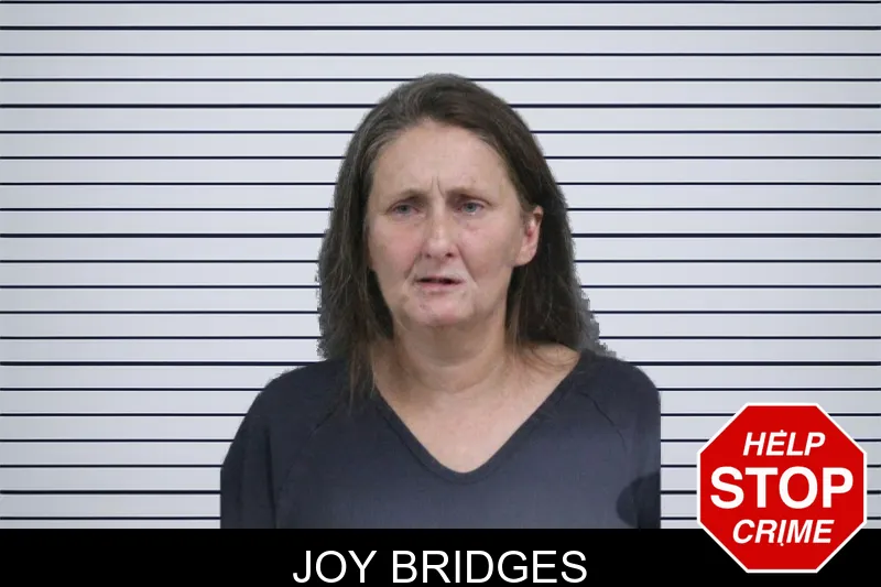 Joy Bridges mugshot