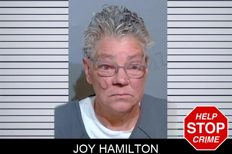 Joy Hamilton mugshot