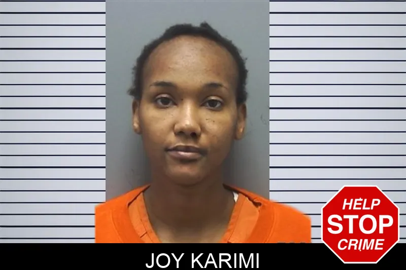 Joy Karimi mugshot