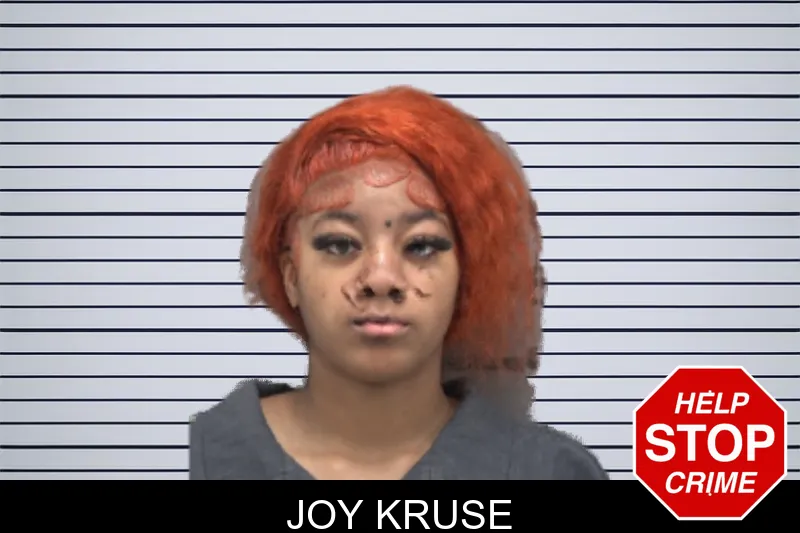 Joy Kruse mugshot