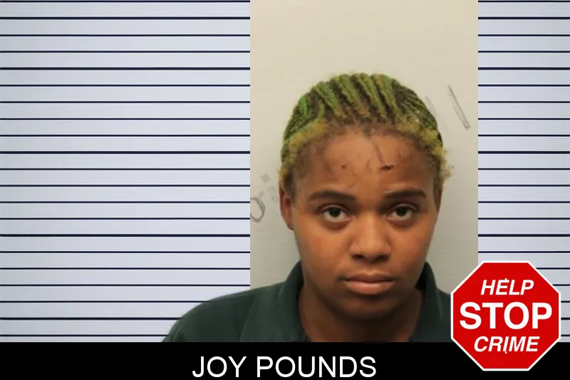 Joy Pounds mugshot