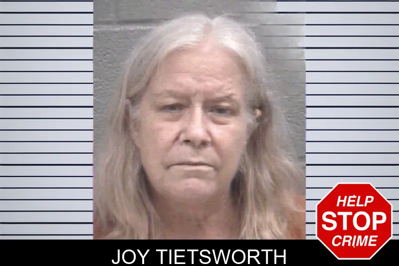 Joy Tietsworth mugshot