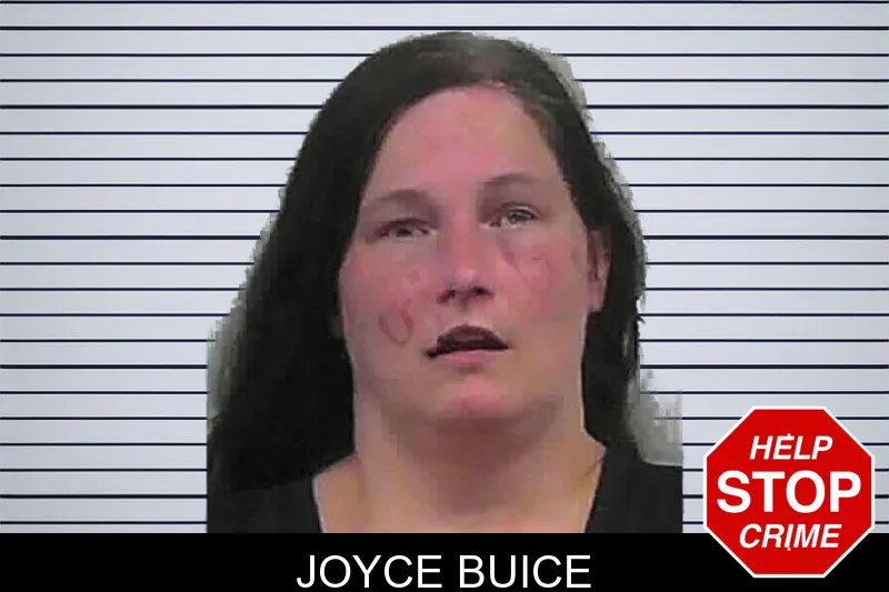 Joyce Buice mugshot
